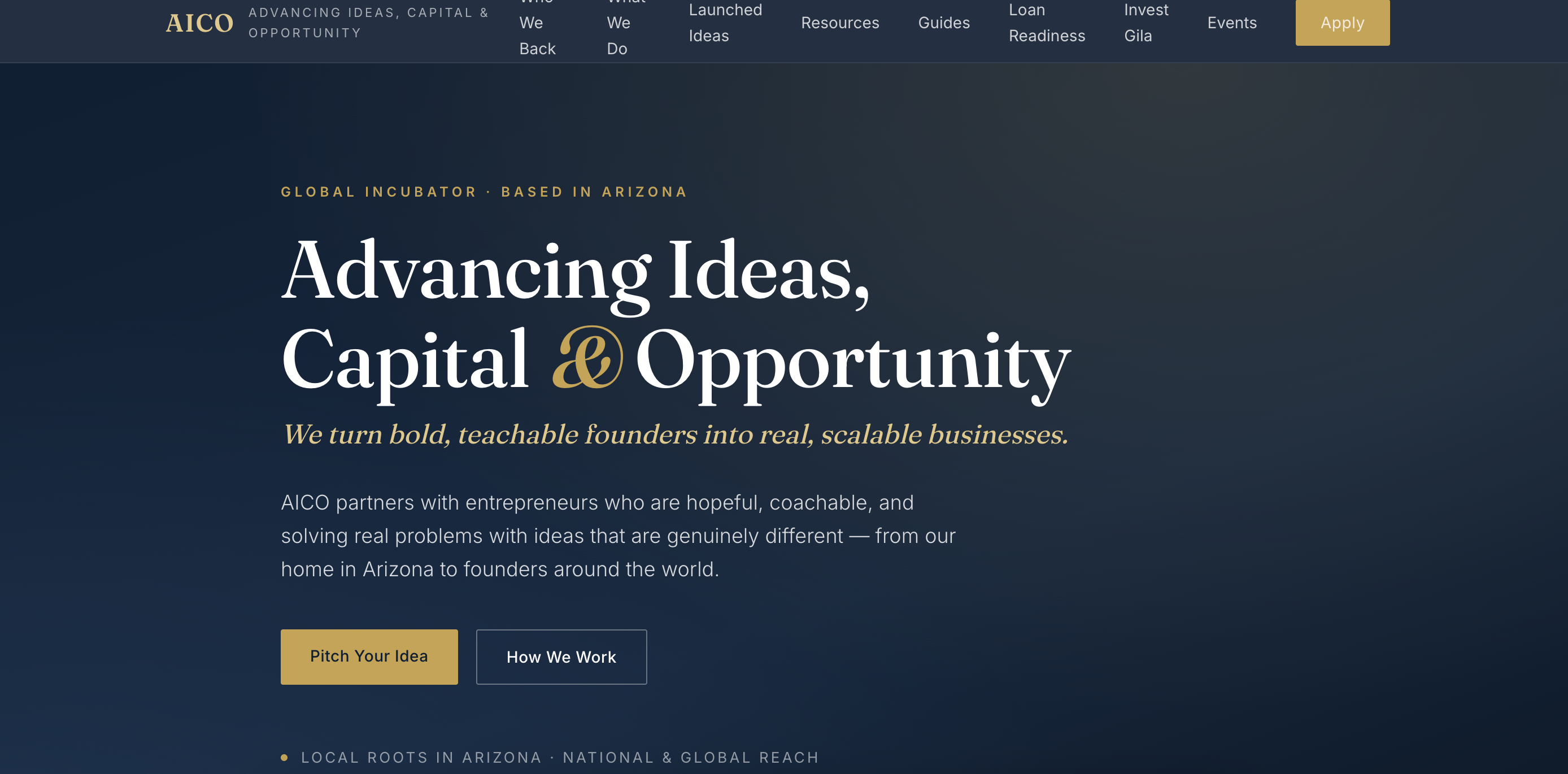 AICO Fund website homepage